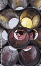 CMAJ March 2002 Cover